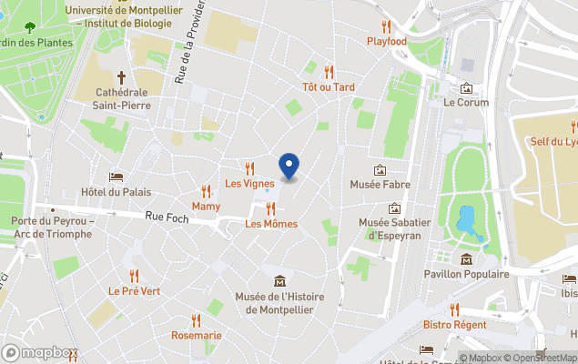 nexity - george v languedoc-roussillon